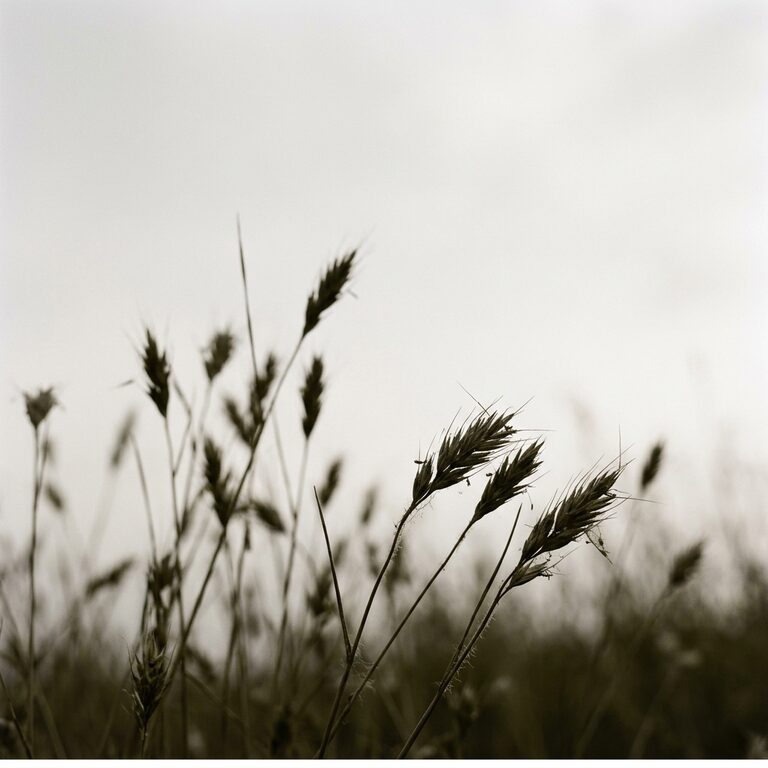 Placeholder cover artwork for We Can Start Again